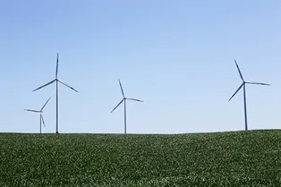 5 экологических ошибок, которые мы совершаем каждый день 5 экологических ошибок, которые мы совершаем каждый день