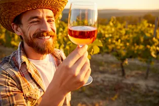 Ультразвук ускорил созревание розового вина в разы — вот как это работает Ультразвук ускорил созревание розового вина в разы — вот как это работает