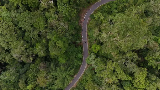 Мост над дорогой