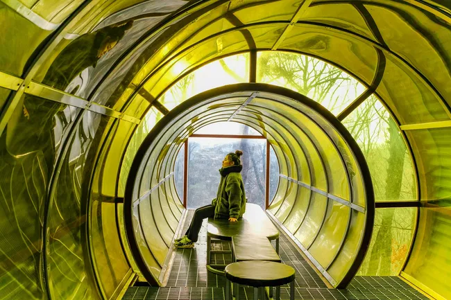 Хроновизор Ватикана: миф об изобретении, которое позволяло видеть прошлое