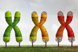 Найдены новые доказательства того, что «биологические часы» наших клеток предотвращают развитие рака