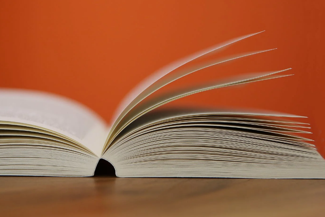 Сложный тест, который пройдет только человек с широким кругозором! Укажете, кто автор этой известной фразы?