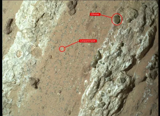 Аннотированная версия изображения «Водопада Чеява» показывает отметины, похожие на пятна леопарда, которые особенно заинтересовали ученых, а также оливин в скале. Изображение было сделано прибором WATSON на марсоходе Perseverance.