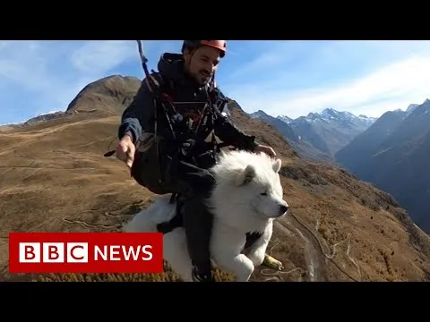 Нажми и смотри