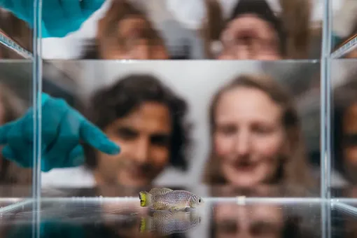 исследование