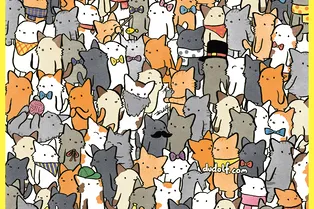 Кругом одни коты! Найдите среди них кота в сапогах за 15 секунд Кругом одни коты! Найдите среди них кота в сапогах за 15 секунд