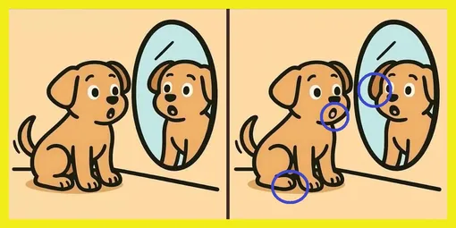 Ответ на головоломку с поиском отличий