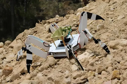 Электрожук Трубадур посадит деревья на пожарищах — там, куда людям не добраться Электрожук Трубадур посадит деревья на пожарищах — там, куда людям не добраться