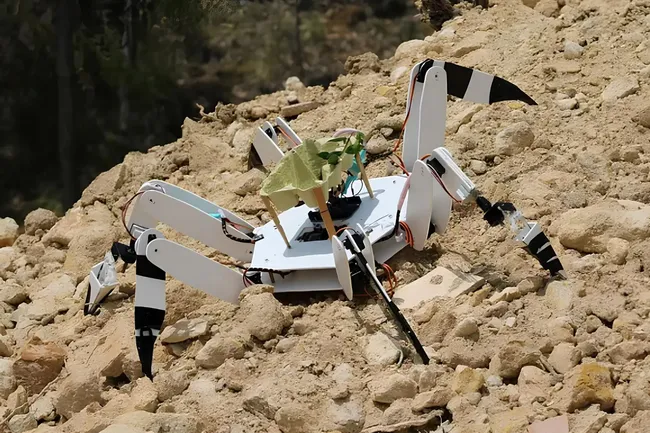 Электрожук Трубадур посадит деревья на пожарищах — там, куда людям не добраться