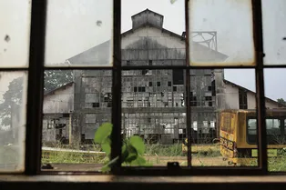 Не все идеи Генри Форда были гениальными: история о том, как предприниматель хотел построить город на Амазонке