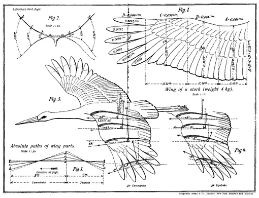 Наброски Лилиенталя