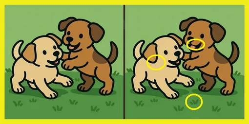 Ответ на головоломку