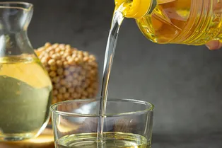 Пластик из растительного масла: как кулинарные отходы стали сырьем