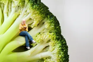 Чем веганы отличаются от вегетарианцев