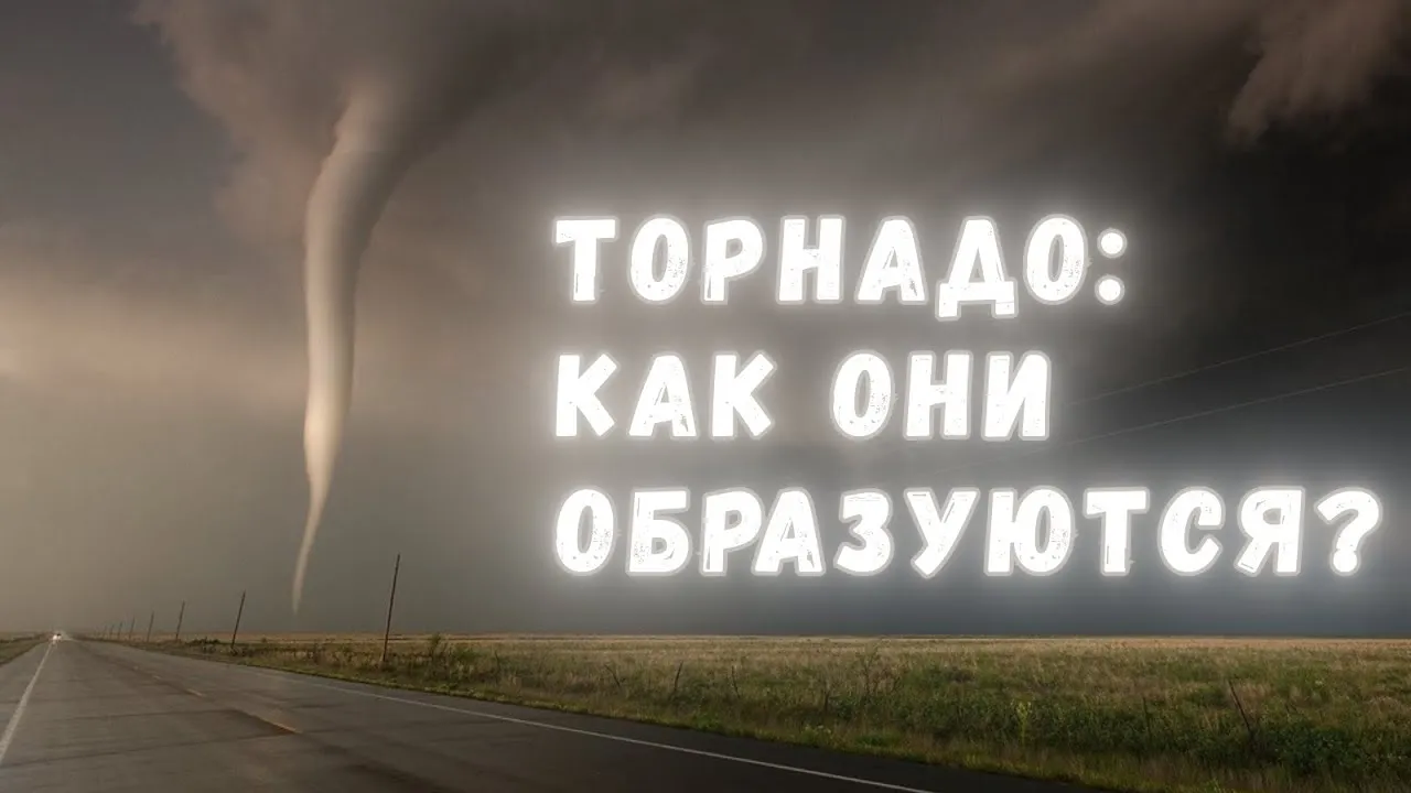 Нажми и смотри