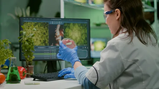 конкурс научного фото