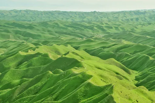 Почему полезно наблюдать за птицами и чего боятся постельные клопы: главные новости сегодня Почему полезно наблюдать за птицами и чего боятся постельные клопы: главные новости сегодня