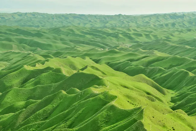 Почему полезно наблюдать за птицами и чего боятся постельные клопы: главные новости сегодня