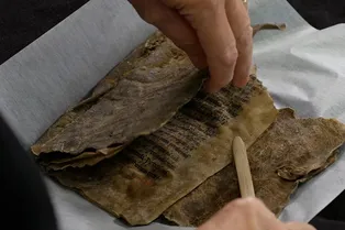 В Норвегии нашли древнейшую книгу — песенник XIII века В Норвегии нашли древнейшую книгу — песенник XIII века