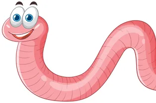 Черви, которые восстанавливают все – даже голову: удивительные способности планарий к регенерации Черви, которые восстанавливают все – даже голову: удивительные способности планарий к регенерации