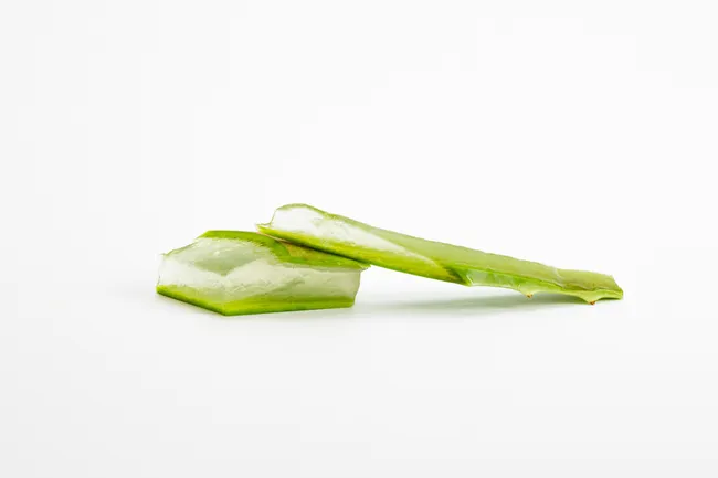 Алоэ вера назвали секретным оружием против болезни Альцгеймера