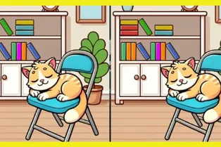 Быстрый тест на поиск отличий: спящий котик. Справитесь за 14 секунд?