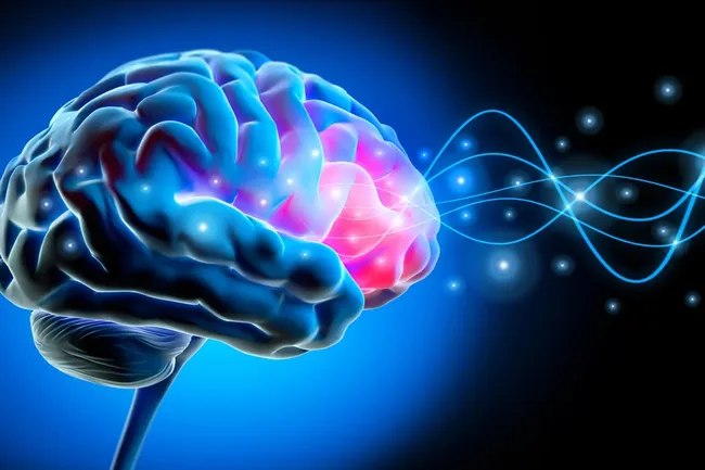 При СДВГ мозг во время бодрствования засыпает на короткое время