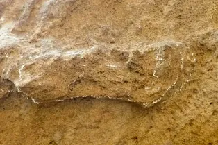 В Южной Африке обнаружены старейшие в мире следы человека В Южной Африке обнаружены старейшие в мире следы человека