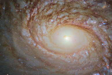 Брат-близнец Млечного Пути: спиральная галактика NGC 772