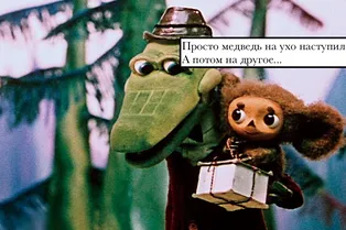 Зачем медведь наступает на уши: как появился всем известный фразеологизм