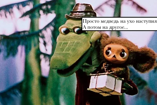 Зачем медведь наступает на уши: как появился всем известный фразеологизм