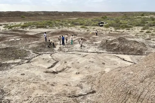 В местечке Кооби-Фора обнаружено множество окаменелостей, в том числе отпечатки ног. В местечке Кооби-Фора обнаружено множество окаменелостей, в том числе отпечатки ног.
