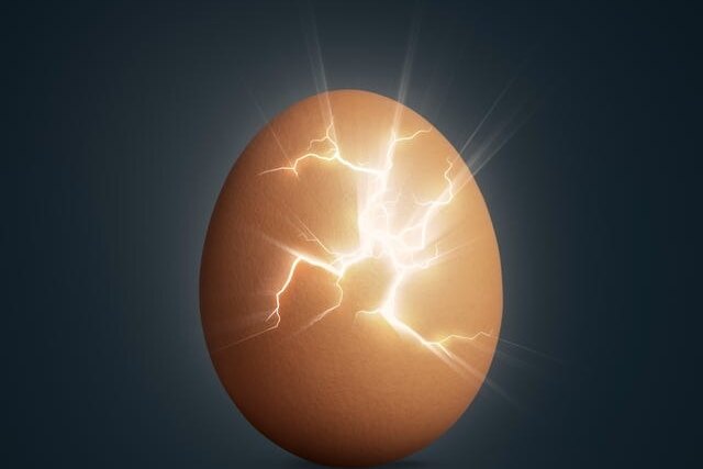 Ученые: вся жизнь на Земле произошла от одного очень древнего предка