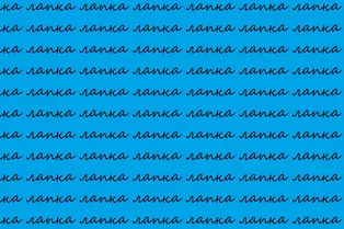 Мини-тест на внимательность: найдите «папку» среди «лапок»