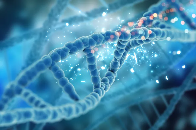 Гипотеза РНК-мира: могла ли жизнь на Земле начаться с одной молекулы