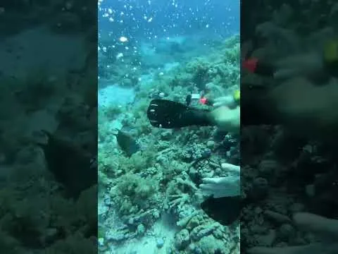Нажми и смотри Нажми и смотри