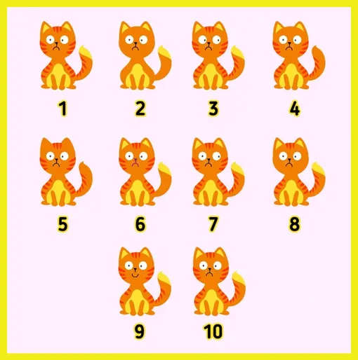 Найдите 2 одинаковых кота Найдите 2 одинаковых кота