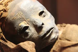 Ученые нашли ДНК бубонной чумы в 3300-летней египетской мумии Ученые нашли ДНК бубонной чумы в 3300-летней египетской мумии