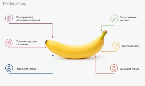 Польза бананов: инфографика Польза бананов: инфографика
