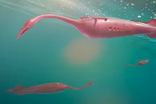 Тайна доисторического Туллимонстра, похожего на пришельца, наконец раскрыта