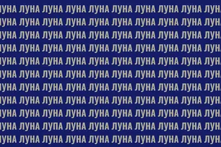 А у вас острый глаз? Найдите на картинке лишнее слово за 8 секунд А у вас острый глаз? Найдите на картинке лишнее слово за 8 секунд