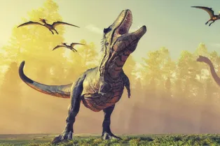1,7 миллиарда тиранозавров ходили по Земле до своего вымирания