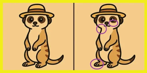 Ответ на головоломку