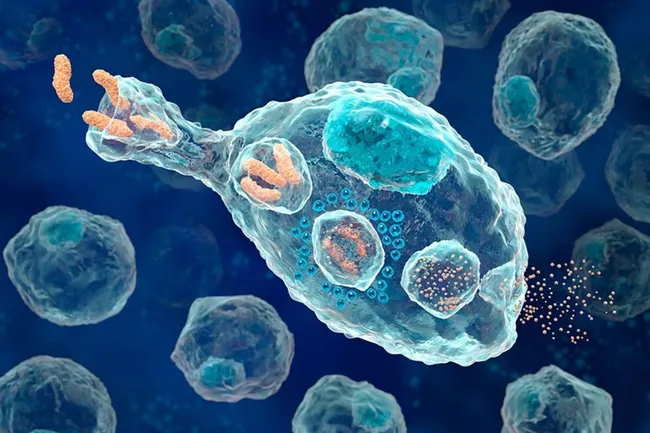 Универсальный назальный спрей защищает от вирусов, бактерий и аллергенов