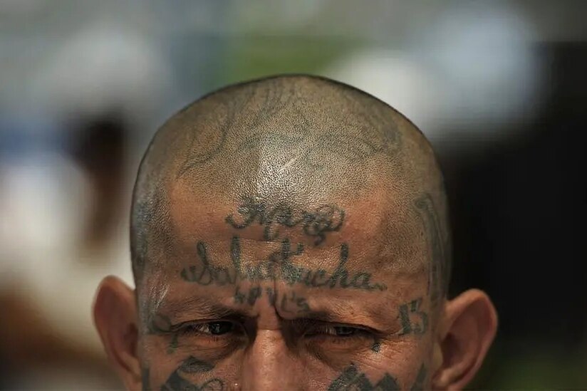 Банда MS-13: узнайте историю одной из самых жестоких уличных группировок в мире!