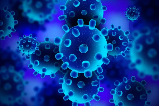 вирусы вирусы