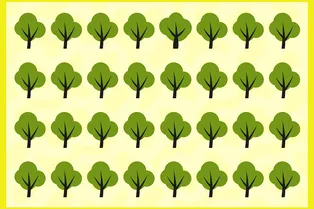 Найдите уникальное дерево: визуальная головоломка на 8 секунд