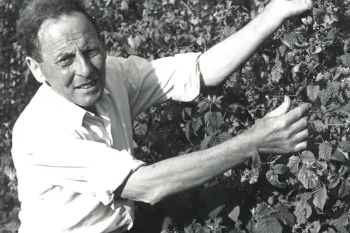 На фото британец Дональд Уотсон. Он создал «Веганское общество» в Великобритании. Интересно, что при таком специфическом питании он прожил 95 лет! Дональд Уотсон