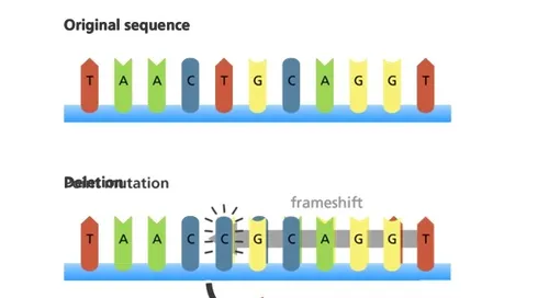 Мутация. Иллюстрация.