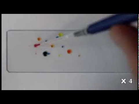 Нажми и смотри